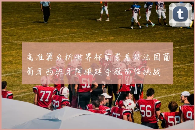 高准翼分析世界杯前景看好法国葡萄牙西班牙阿根廷夺冠面临挑战